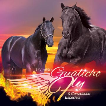 Vem aí: 1º Leilão da raça Quarto de Milha pela TV Leilão